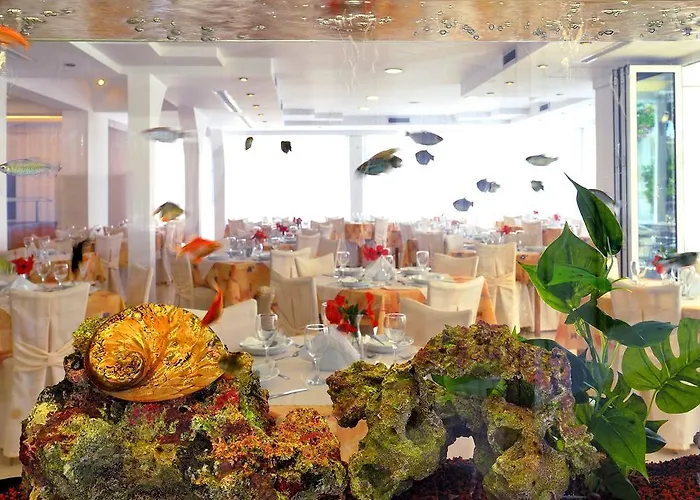 酒店 克林比亚骄阳酒店